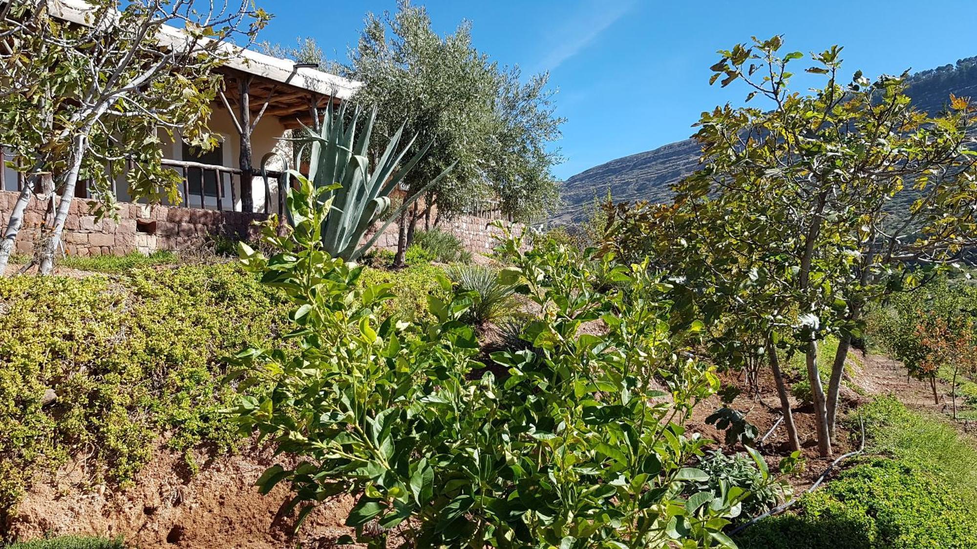Willa Le Douar Berbere (Adults Only) Ourika Zewnętrze zdjęcie